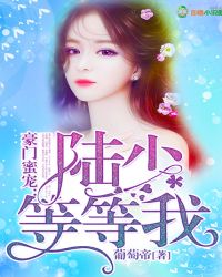 豪门蜜宠：陆少，等等我封面