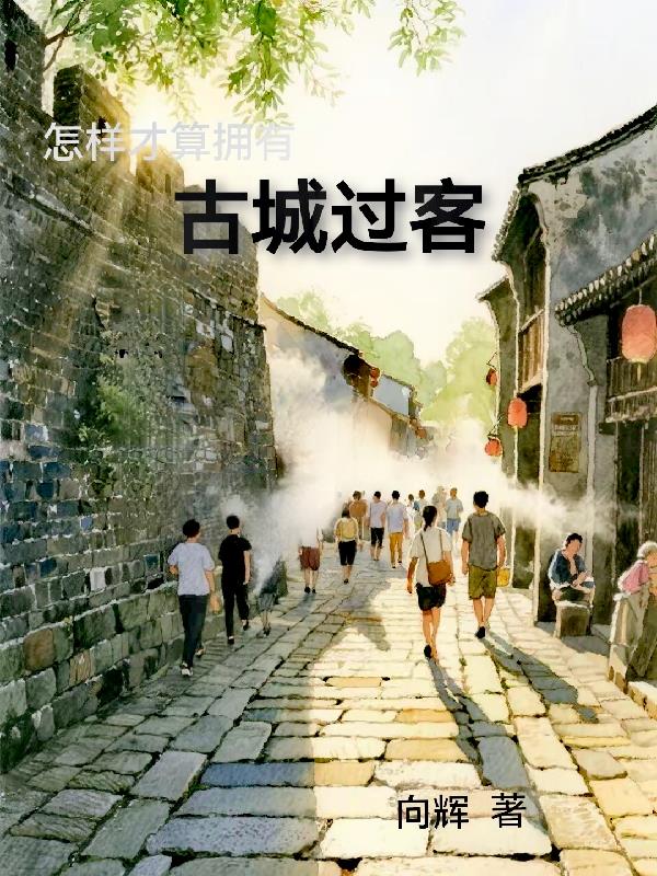 古城过客封面