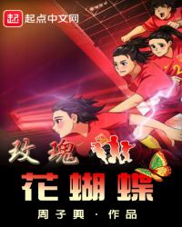 玫瑰花蝴蝶封面