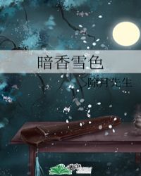 暗香雪色封面