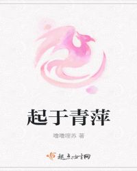 起于青萍封面