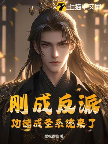 刚成反派，功德成圣系统来了封面