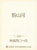 酹山河封面