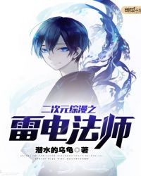 二次元综漫之雷电法师封面