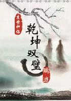 乾坤双璧之纵横天下封面