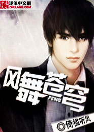 风舞苍穹封面