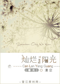 [暮光]灿烂阳光封面