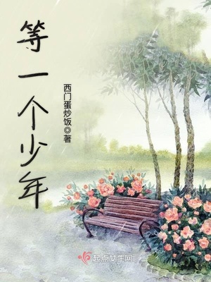 等一个少年封面