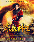 布衣神王封面