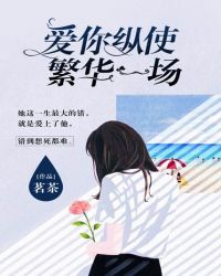 爱你纵使繁华一场封面
