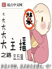 大主播之路封面