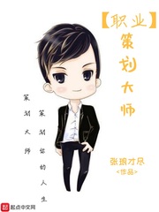 职业策划大师封面