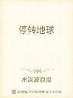 停转地球封面