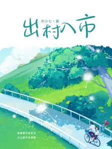 出村入市封面