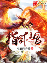 指掌仙宫封面