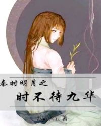 秦时明月之时不待九华封面