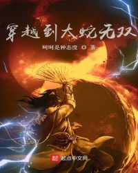 穿越到大蛇无双封面