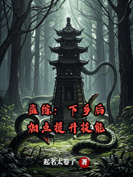 盗综:下乡后加点提升技能封面