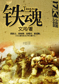 铁魂封面