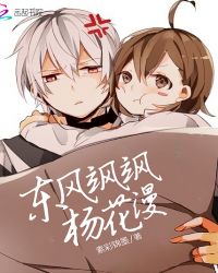 东风飒飒杨花漫封面