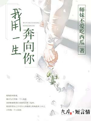 我用一生奔向你封面