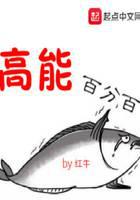 高能百分百封面