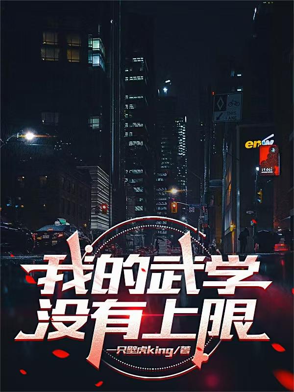 我的武学没有上限封面