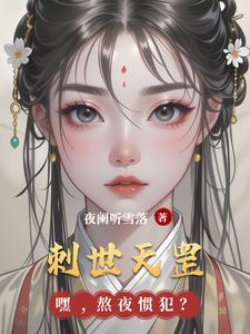 刺世天罡封面