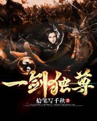 一剑独尊封面