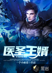 医圣王婿封面