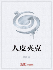 海贼之合体时代封面