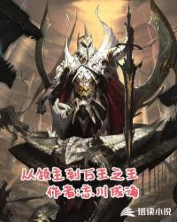 从领主到万王之王封面