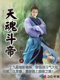 天魂斗帝封面
