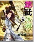 龙武江湖封面