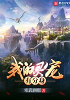 我的灵宠有分身封面