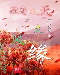 彼岸追天之灵风缘封面