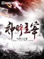 神眸主宰封面