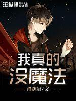我真的没魔法封面