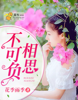 不可负相思封面