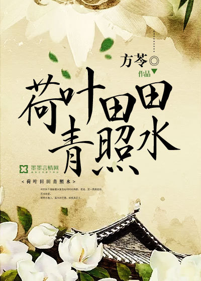 荷叶田田青照水封面