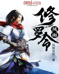 风雨修罗令封面