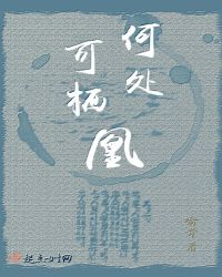 何处可栖凰封面