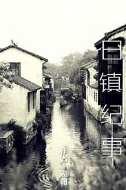白镇纪事封面