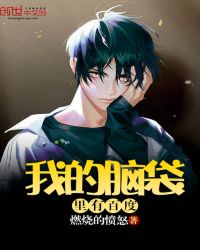 我的脑袋里有百度封面