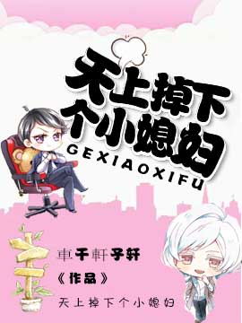 天上掉下个小媳妇封面