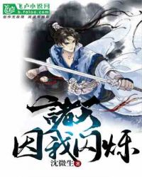 诸天，因我闪烁！封面