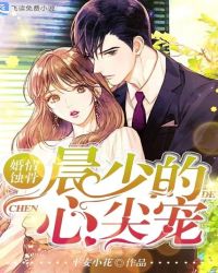 婚情蚀骨：晨少的心尖宠封面
