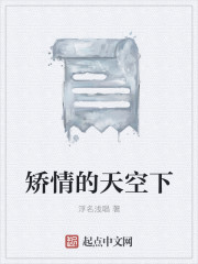 矫情的天空下封面