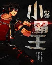 都市小霸王封面