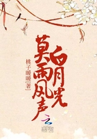 莫雨风声白月光封面
